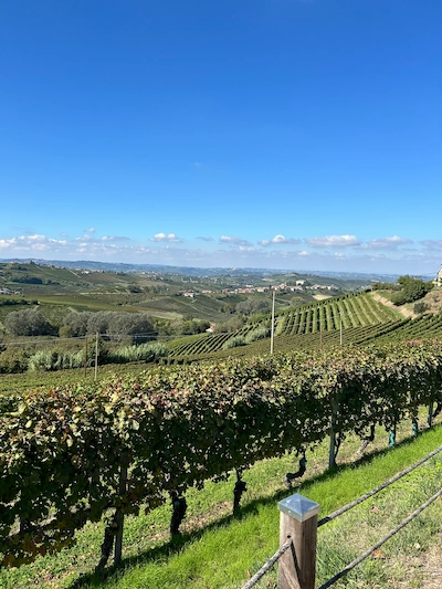 langhe-hills-landscape Hills and vineyards landscape in the Langhe
