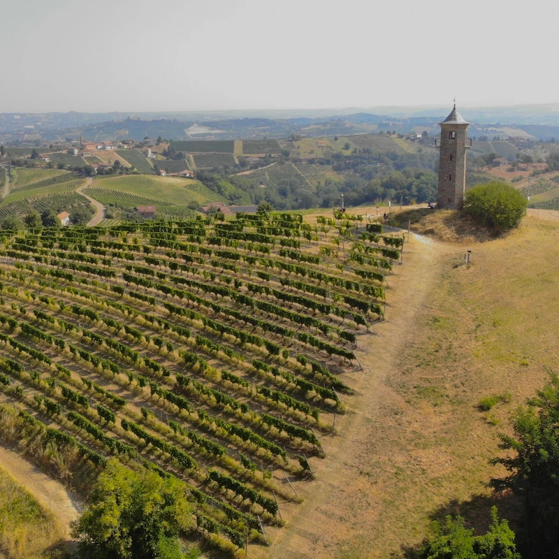 Monferrato-Canelli-wineyards Vineyards and rolling hills near Canelli in Monferrato, with a stone tower in the foreground